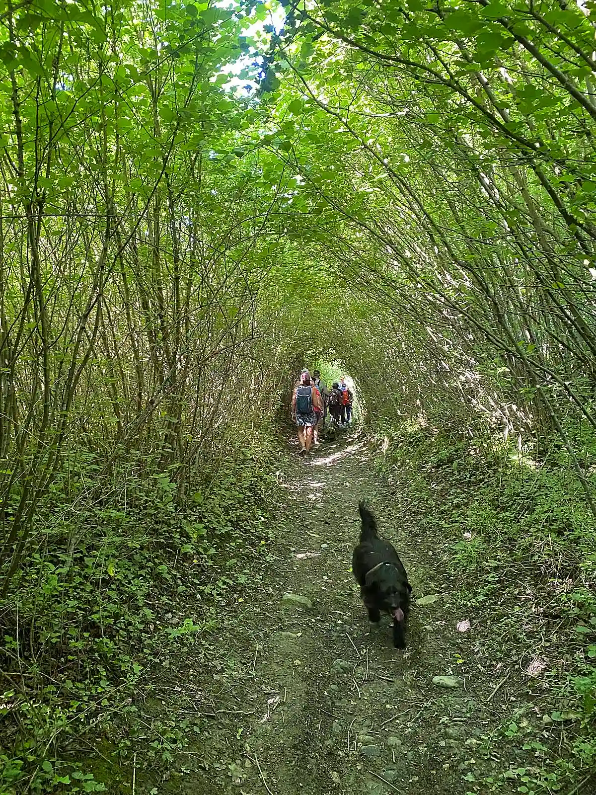 Comme dans un tunnel