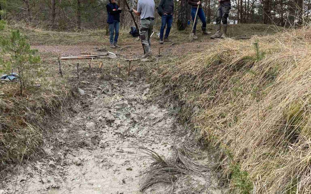 Restauration de la ZNIEFF – 22.02.2025