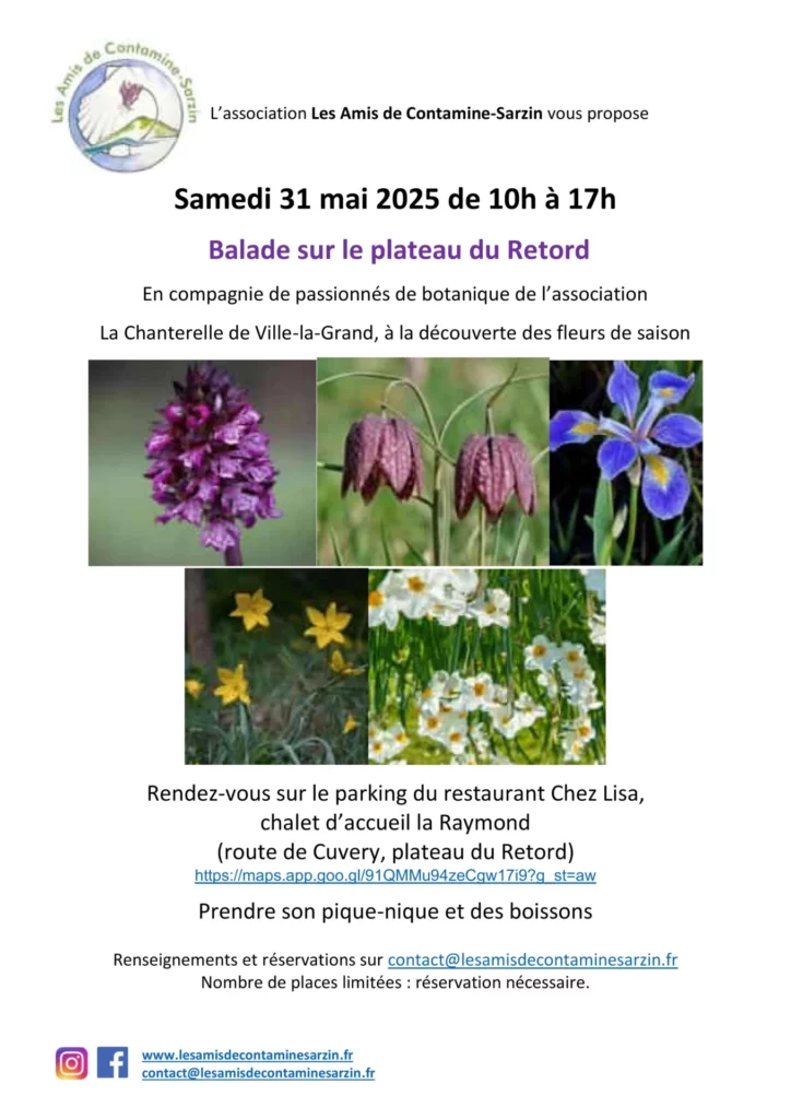 affiche-31-mai-2025