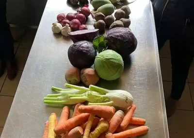 opti_Légumes lacto 2026-02-21