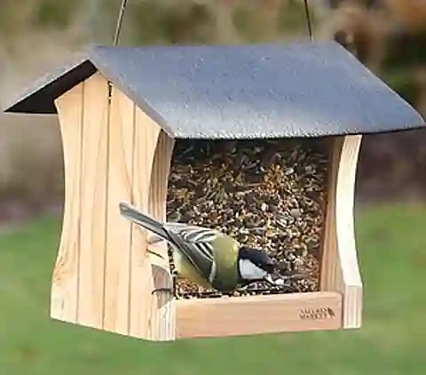 Mangeoireoiseauxpourgraines