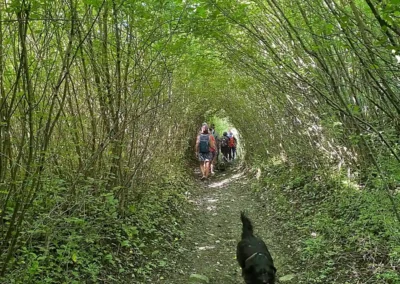 Comme dans un tunnel